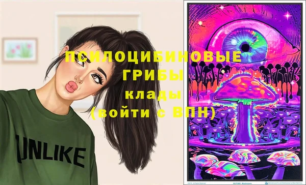 гашик Лихославль