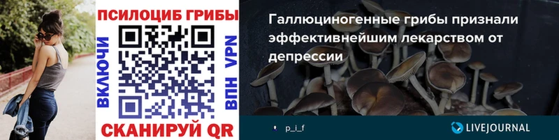 hydra ССЫЛКА Сычёвка Псилоцибиновые грибы MAGIC MUSHROOMS